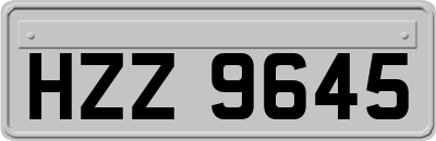 HZZ9645