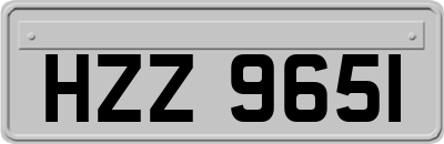HZZ9651