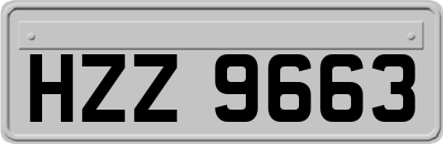 HZZ9663