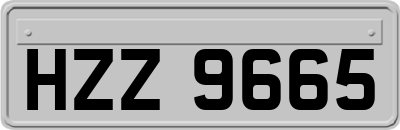 HZZ9665
