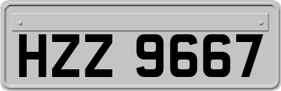 HZZ9667