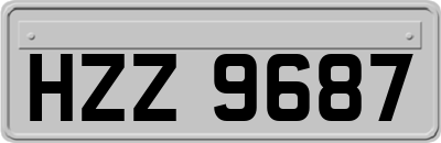 HZZ9687