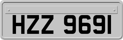 HZZ9691
