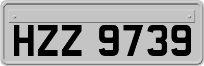 HZZ9739