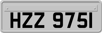 HZZ9751