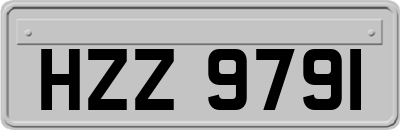 HZZ9791
