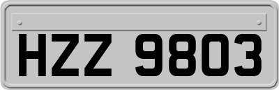 HZZ9803