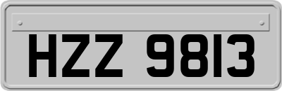 HZZ9813