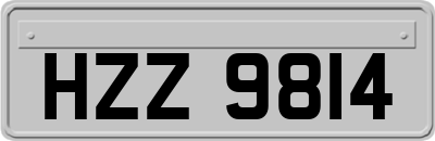 HZZ9814