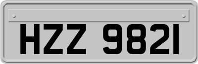 HZZ9821