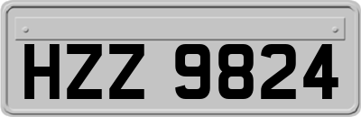 HZZ9824