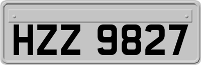 HZZ9827