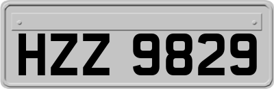 HZZ9829