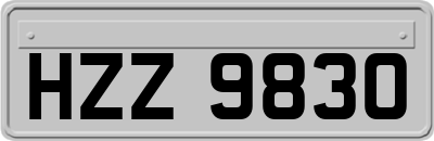 HZZ9830