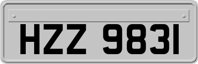 HZZ9831