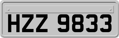 HZZ9833