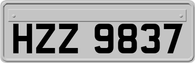 HZZ9837
