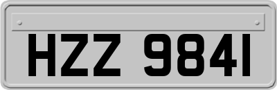 HZZ9841