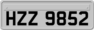 HZZ9852