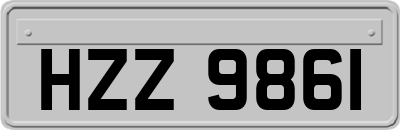 HZZ9861