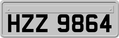 HZZ9864