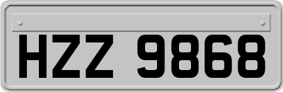 HZZ9868