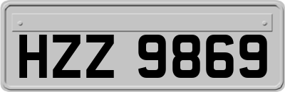 HZZ9869