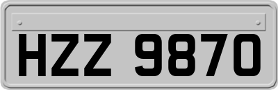 HZZ9870
