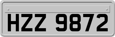 HZZ9872