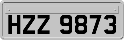 HZZ9873