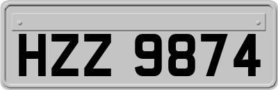 HZZ9874
