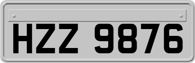 HZZ9876