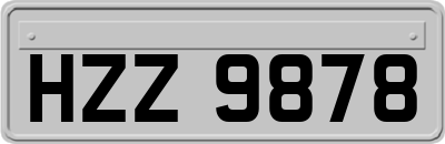 HZZ9878