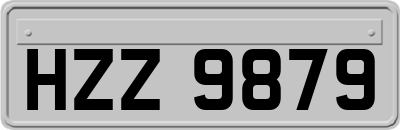 HZZ9879
