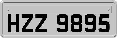 HZZ9895