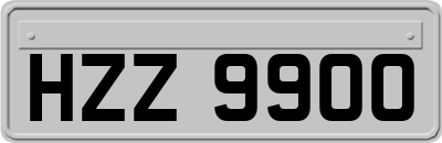 HZZ9900