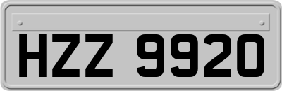 HZZ9920
