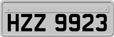HZZ9923