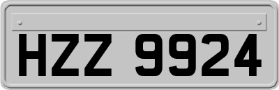 HZZ9924