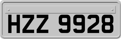 HZZ9928