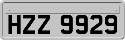HZZ9929