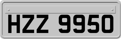 HZZ9950
