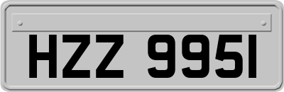 HZZ9951