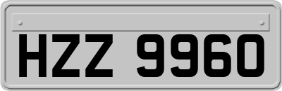 HZZ9960