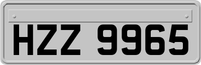 HZZ9965