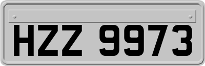 HZZ9973