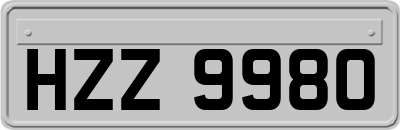 HZZ9980