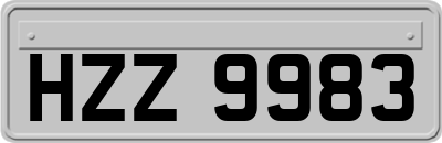 HZZ9983