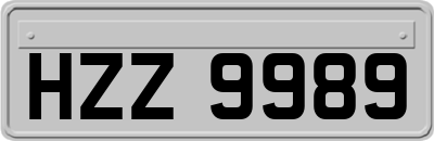 HZZ9989