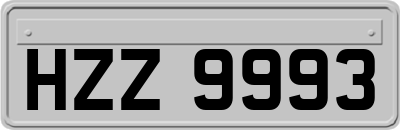HZZ9993